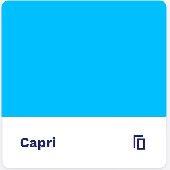 ECHO Bright Blue Chunky Cable Knit Knot Fringe Scarf - Picture 10 of 12